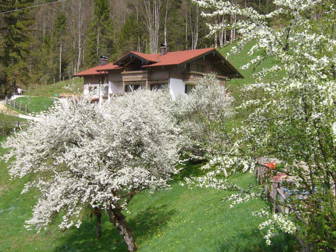 Haus Eicher Шнайцльройт Экстерьер фото